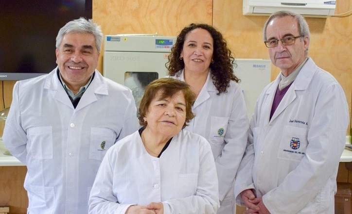 Investigadores UBB crean preservante para madera efectivo y amigable con el medioambiente